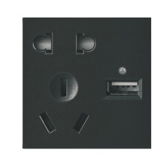酒店-USB带二、三极插座