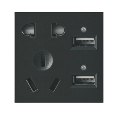 酒店-二位USB带二、三极插座